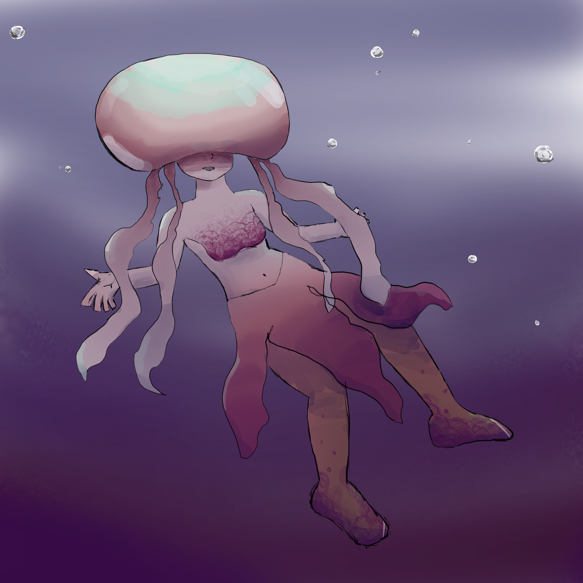Jellyfish